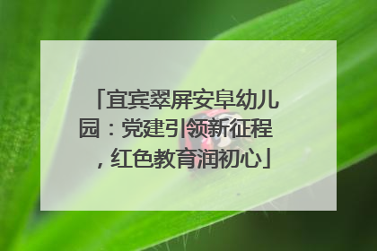 宜宾翠屏安阜幼儿园：党建引领新征程，红色教育润初心