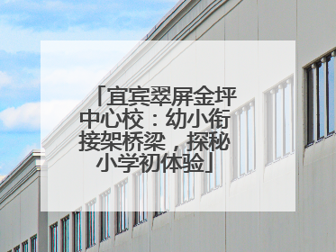 宜宾翠屏金坪中心校：幼小衔接架桥梁，探秘小学初体验