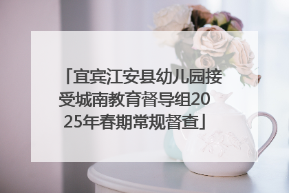 宜宾江安县幼儿园接受城南教育督导组2025年春期常规督查