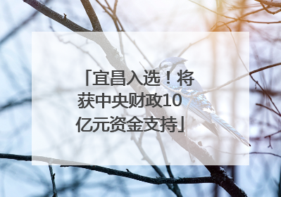 宜昌入选！将获中央财政10亿元资金支持