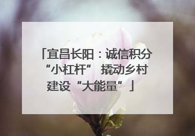 宜昌长阳：诚信积分“小杠杆” 撬动乡村建设“大能量”