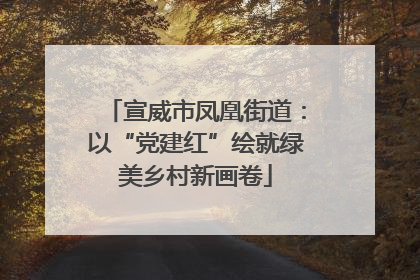 宣威市凤凰街道：以“党建红”绘就绿美乡村新画卷