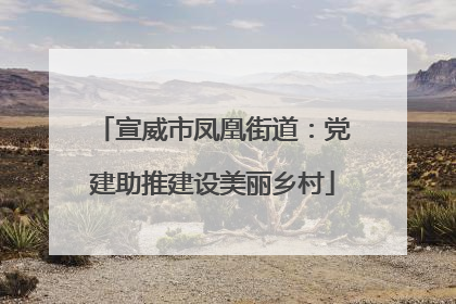 宣威市凤凰街道：党建助推建设美丽乡村