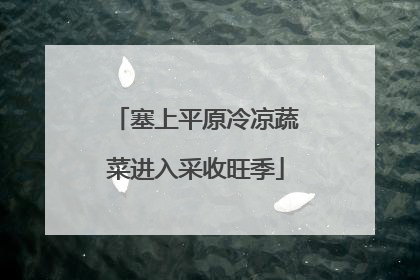 塞上平原冷凉蔬菜进入采收旺季