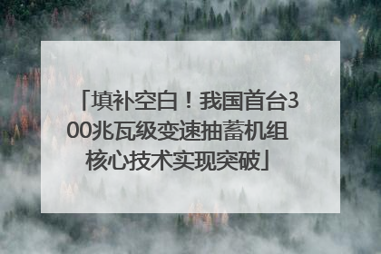 填补空白！我国首台300兆瓦级变速抽蓄机组核心技术实现突破