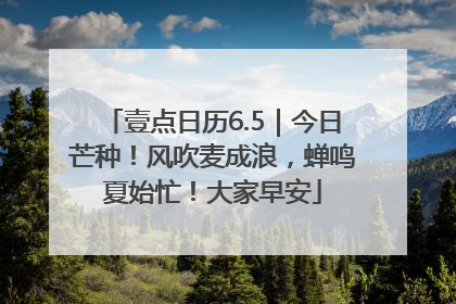 壹点日历6.5｜今日芒种！风吹麦成浪，蝉鸣夏始忙！大家早安