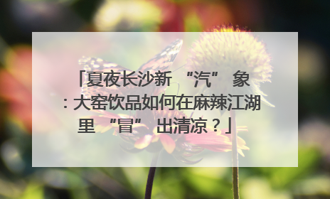 夏夜长沙新 “汽” 象：大窑饮品如何在麻辣江湖里 “冒” 出清凉？
