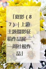 夏影（87）｜上游主题摄影征稿作品展——周社根作品