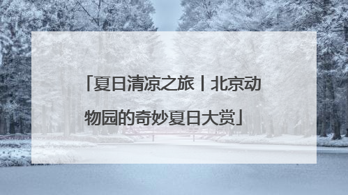 夏日清凉之旅丨北京动物园的奇妙夏日大赏