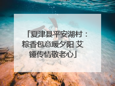 夏津县平安湖村：粽香包意暖夕阳 艾锤传情敬老心