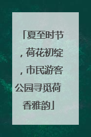 夏至时节，荷花初绽，市民游客公园寻觅荷香雅韵