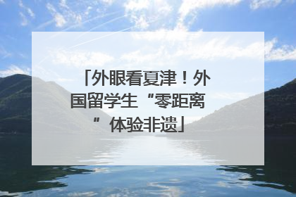外眼看夏津！外国留学生“零距离”体验非遗