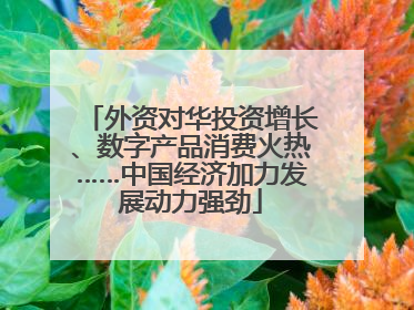 外资对华投资增长、数字产品消费火热……中国经济加力发展动力强劲