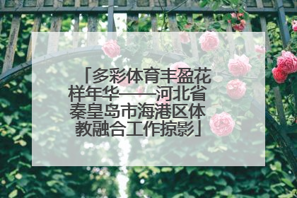 多彩体育丰盈花样年华——河北省秦皇岛市海港区体教融合工作掠影