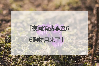 夜间消费季暨66购物月来了