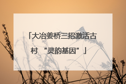 大冶姜桥三招激活古村 “灵韵基因”