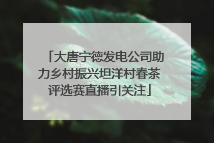 大唐宁德发电公司助力乡村振兴坦洋村春茶评选赛直播引关注