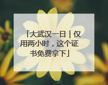 大武汉一日|仅用两小时,这个证书免费拿下