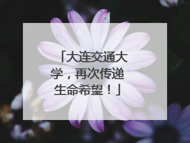 大连交通大学，再次传递生命希望！
