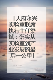 天府永兴实验室联席执行主任梁斌：落实从实验室到产业发展的最后一公里