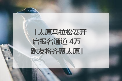太原马拉松赛开启报名通道 4万跑友将齐聚太原