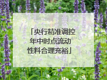 央行精准调控 年中时点流动性料合理充裕