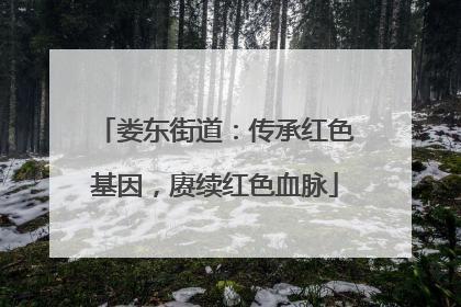 娄东街道：传承红色基因，赓续红色血脉