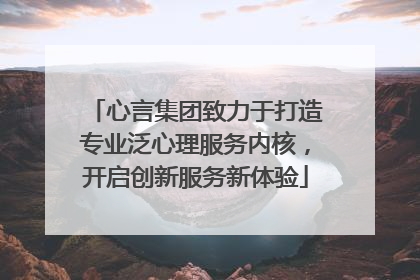 心言集团致力于打造专业泛心理服务内核，开启创新服务新体验