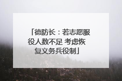 德防长：若志愿服役人数不足 考虑恢复义务兵役制