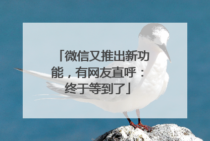 微信又推出新功能，有网友直呼：终于等到了