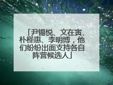 尹锡悦、文在寅、朴槿惠、李明博，他们纷纷出面支持各自阵营候选人