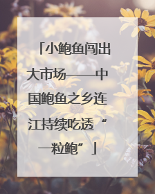 小鲍鱼闯出大市场——中国鲍鱼之乡连江持续吃透“一粒鲍”