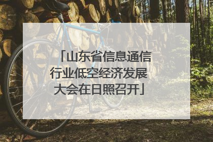 山东省信息通信行业低空经济发展大会在日照召开