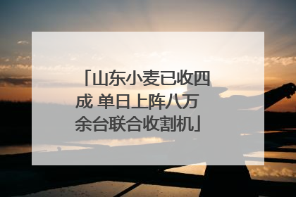山东小麦已收四成 单日上阵八万余台联合收割机
