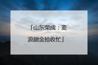 山东荣成：麦浪翻金抢收忙