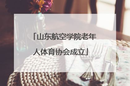 山东航空学院老年人体育协会成立
