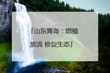 山东青岛：增殖放流 修复生态