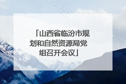 山西省临汾市规划和自然资源局党组召开会议