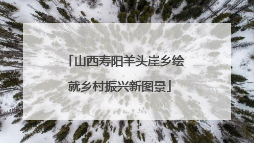 山西寿阳羊头崖乡绘就乡村振兴新图景