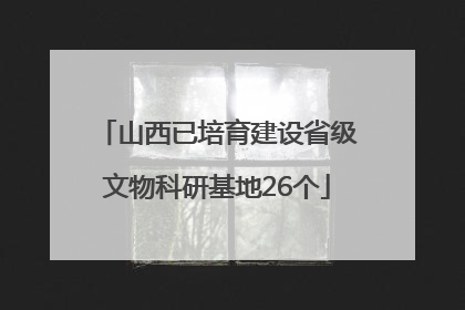 山西已培育建设省级文物科研基地26个