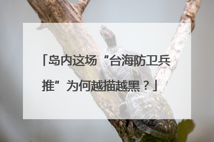 岛内这场“台海防卫兵推”为何越描越黑？