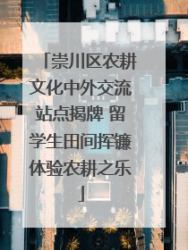 崇川区农耕文化中外交流站点揭牌 留学生田间挥镰体验农耕之乐