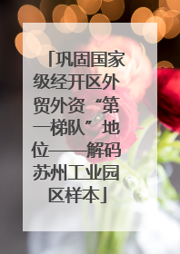巩固国家级经开区外贸外资“第一梯队”地位——解码苏州工业园区样本