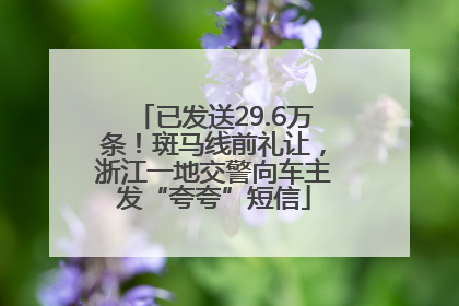 已发送29.6万条！斑马线前礼让，浙江一地交警向车主发“夸夸”短信