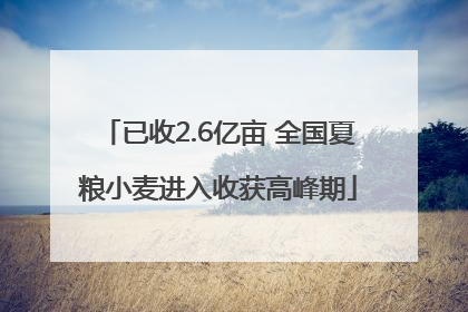 已收2.6亿亩 全国夏粮小麦进入收获高峰期