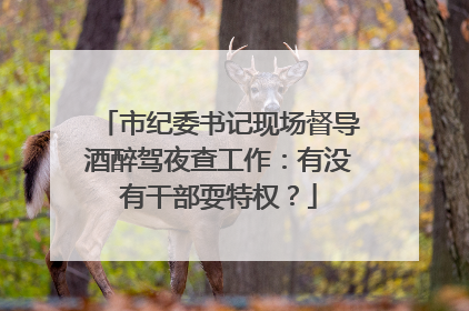 市纪委书记现场督导酒醉驾夜查工作：有没有干部耍特权？