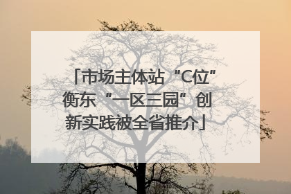 市场主体站“C位” 衡东“一区三园”创新实践被全省推介