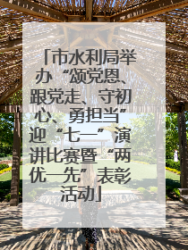 市水利局举办“颂党恩、跟党走、守初心、勇担当”迎“七一”演讲比赛暨“两优一先”表彰活动