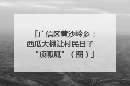 广信区黄沙岭乡：西瓜大棚让村民日子“顶呱呱”（图）