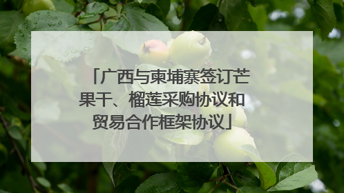 广西与柬埔寨签订芒果干、榴莲采购协议和贸易合作框架协议